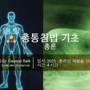 총통침법 소개-동영상 샘플